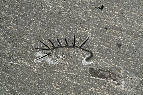 古生物学 ハルキゲニアの復元図 上下逆さまだっただけでなく前後も逆だった 化石に目と口を発見 英大学 ジオろぐ