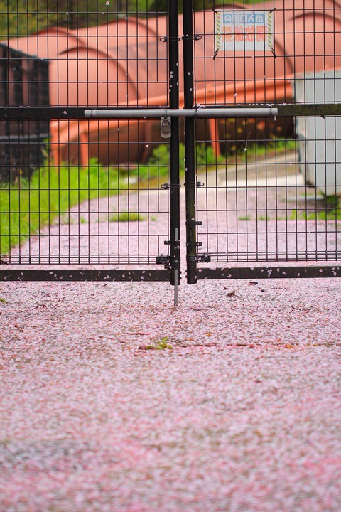 no title