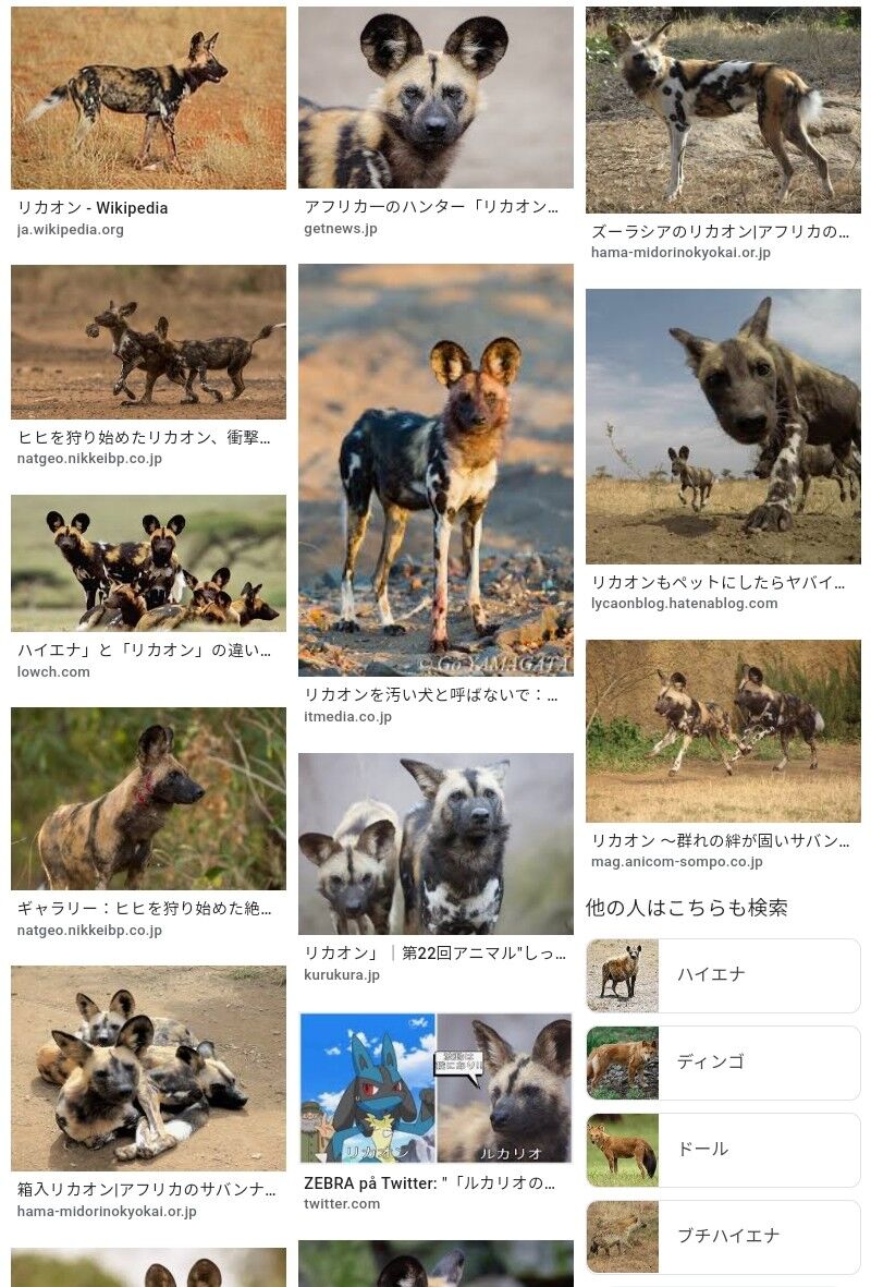 世界一狩りの成功率が高い生物を思い浮かべて下さい。当てられるかな？ : ジオろぐ