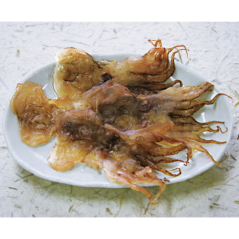 イカ←生でも煮ても焼いてもうまいです　タコ←こいつさぁ