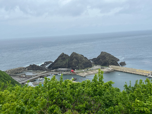 resized_10