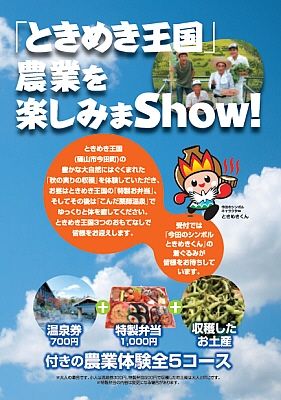 ときめき王国チラシ
