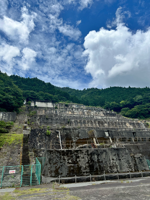 resized_03