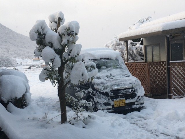 なんとすごい雪でしょう 丹波篠山georgeのchallenge To Life なんとすごい雪でしょう 丹波篠山georgeのchallenge To Life
