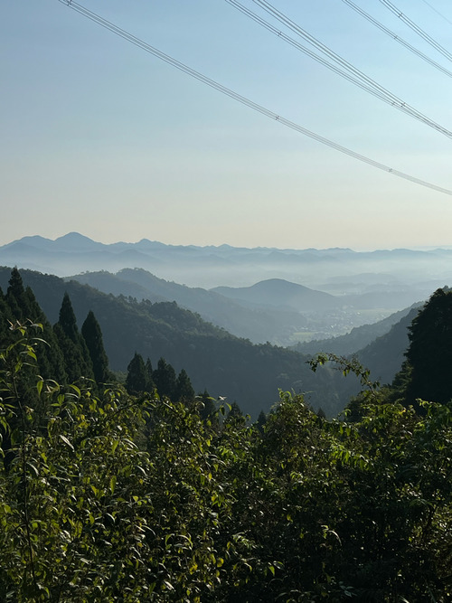 resized_04