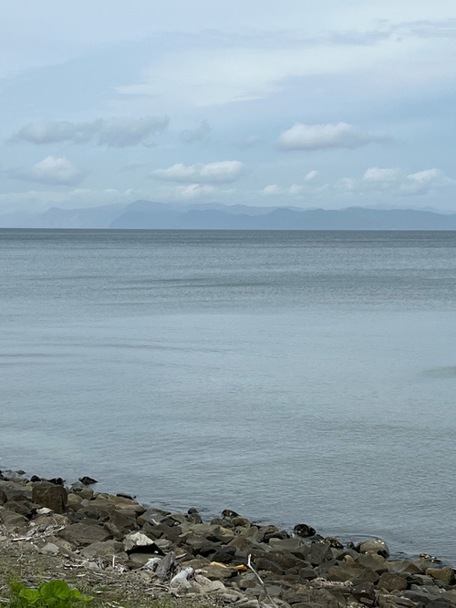 resized_04