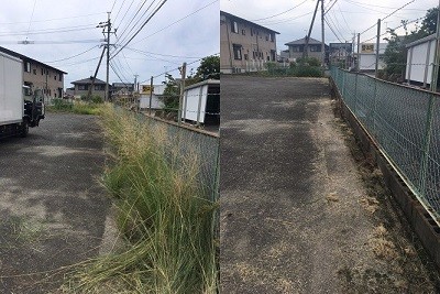 S__55222280