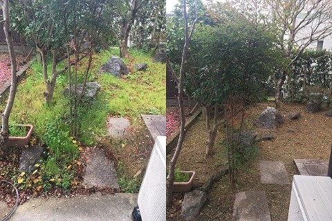 S__45735942-05