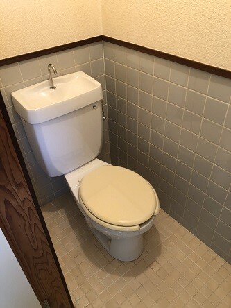 S__75669508