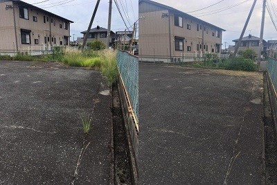 S__55222279