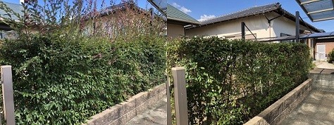 S__27680791
