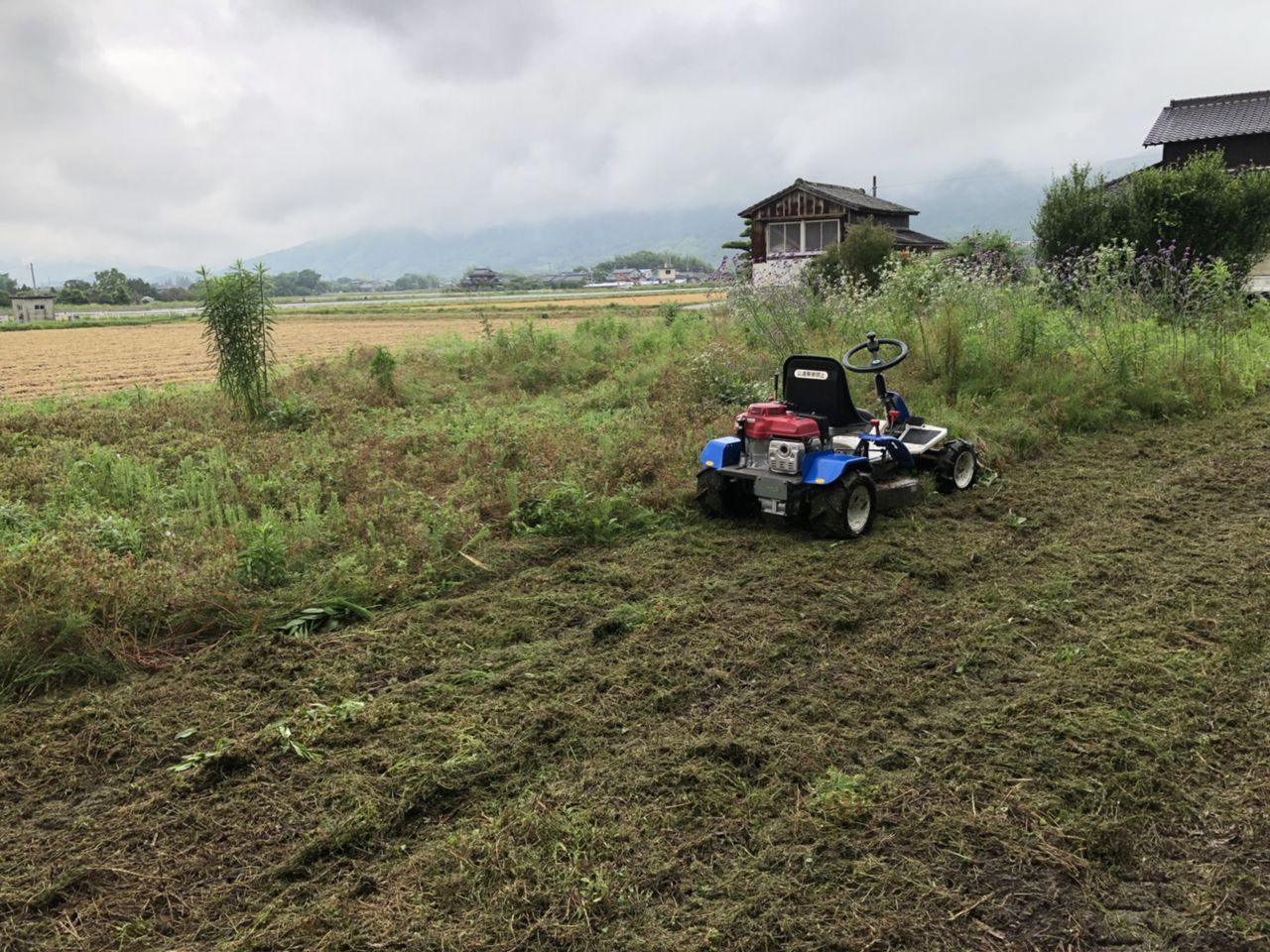 草刈り 庭手入れ 乗用草刈機 福岡県大牟田市 便利屋ジョージ 大牟田の便利屋 便利屋ジョージ のブログ 草刈り 庭手入れ 乗用草刈機 福岡県大牟田市 便利屋ジョージ 大牟田の便利屋 便利屋ジョージ のブログ
