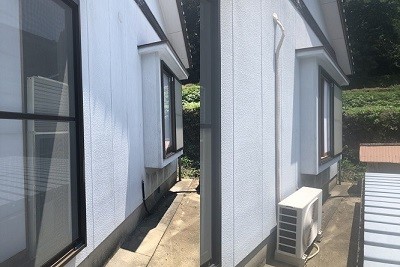 S__47054865