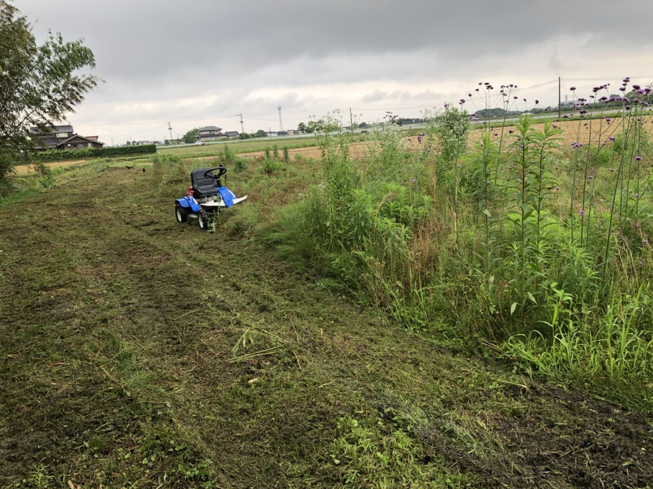 草刈り 庭手入れ 乗用草刈機 福岡県大牟田市 便利屋ジョージ 大牟田の便利屋 便利屋ジョージ のブログ 草刈り 庭手入れ 乗用草刈機 福岡県大牟田市 便利屋ジョージ 大牟田の便利屋 便利屋ジョージ のブログ