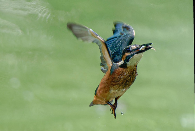 _DSC1907-ARW_DxO_DeepPRIMEXD