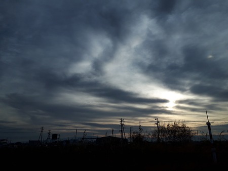 20201119_074044(0)