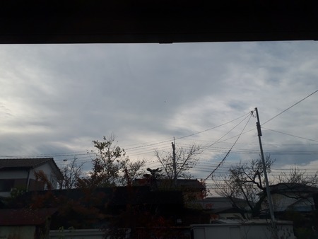 20201120_080335(0)