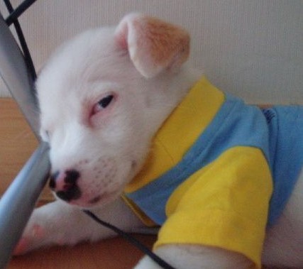 �ʤˤߤƤ����