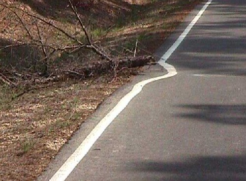 ÊÞÁõ