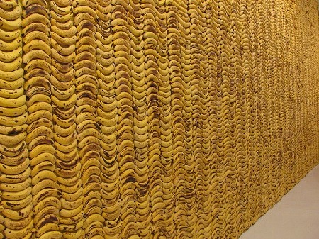 超古代文明のバナナ陳列法 : ツンもワラタ