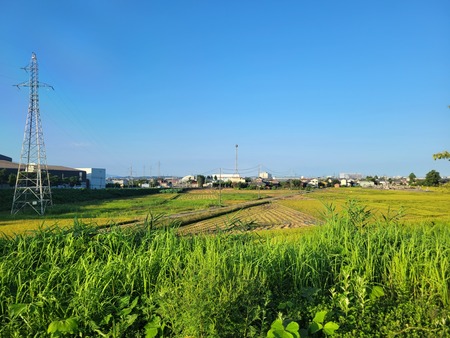 20240904_062926