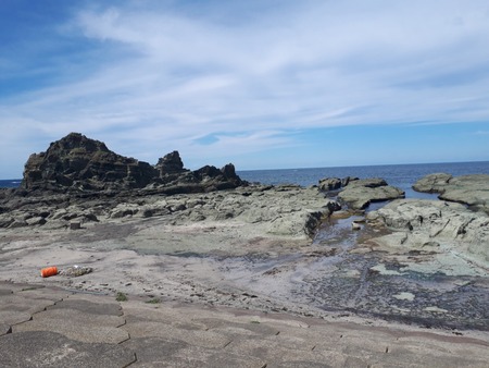 JPEG_20190921_110153_3218351750288452335