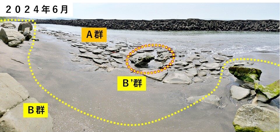 銚子ジオ散歩(578)砂浜の転石群の形成時期 : CHOUSI GEOSANPO