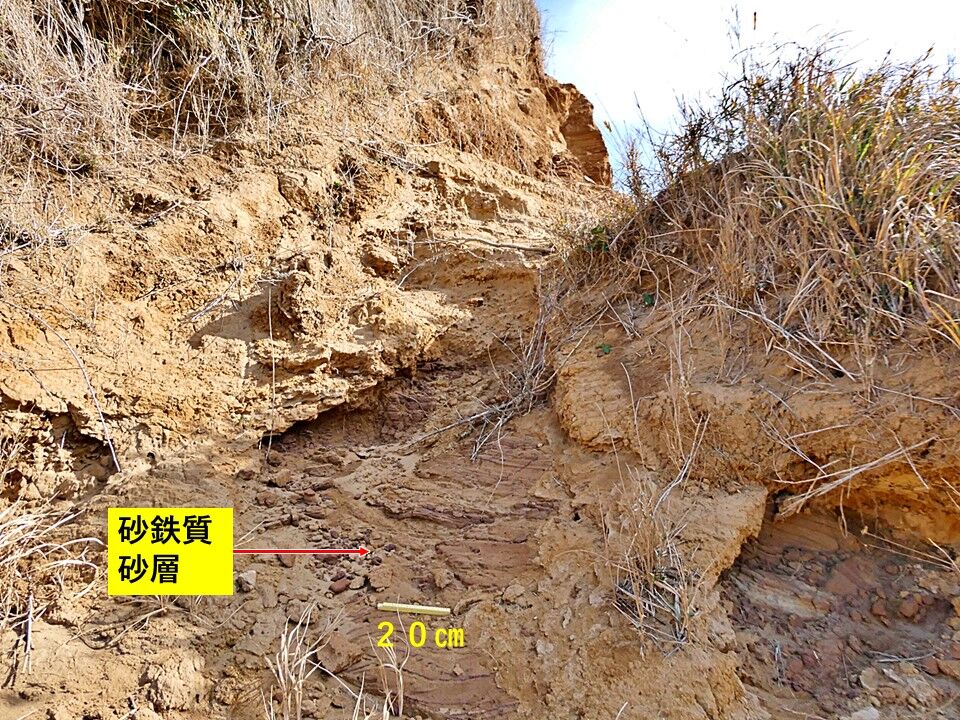 銚子ジオ散歩(537)鞍部状凹地再訪 : CHOUSI GEOSANPO