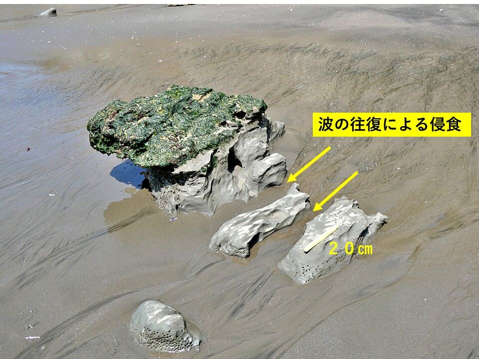 銚子ジオ散歩(621)波打ち際の転石の変化(屏風ヶ浦) : CHOUSI GEOSANPO