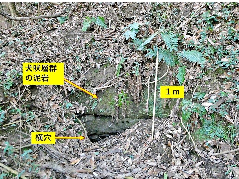 銚子ジオ散歩(481)高田川付近の残丘②遺跡 : CHOUSI GEOSANPO