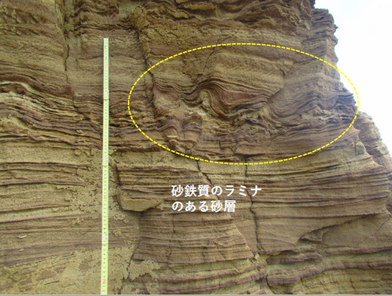修二さんの銚子ジオ散歩(142)鞍部状凹地②鞍部の断層(下) : CHOUSI GEOSANPO