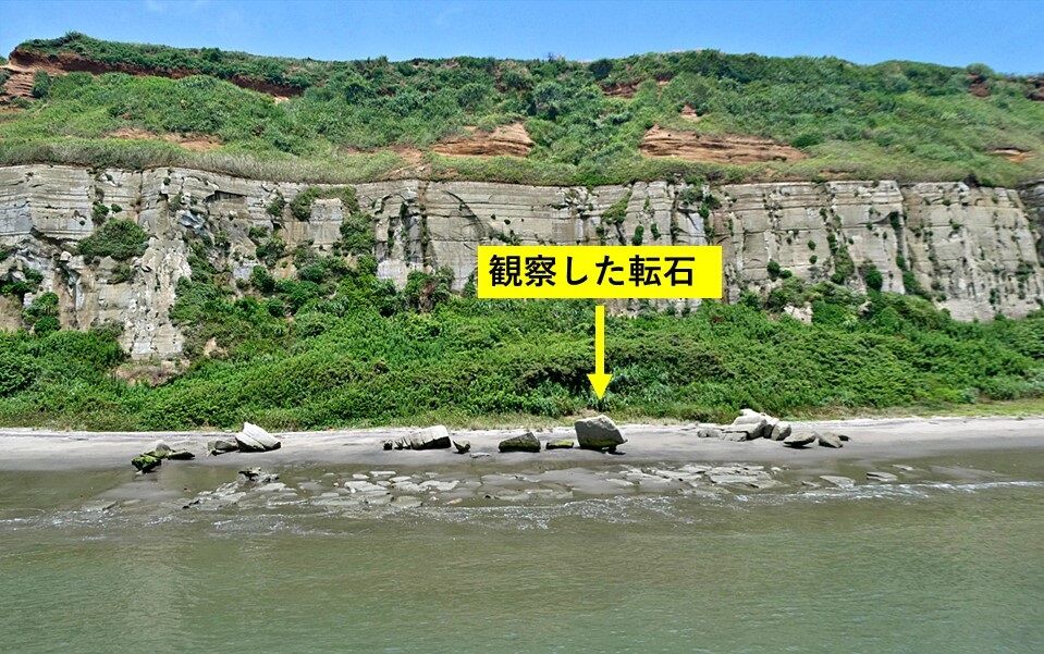 銚子ジオ散歩(579)転石の「寿命」 : CHOUSI GEOSANPO