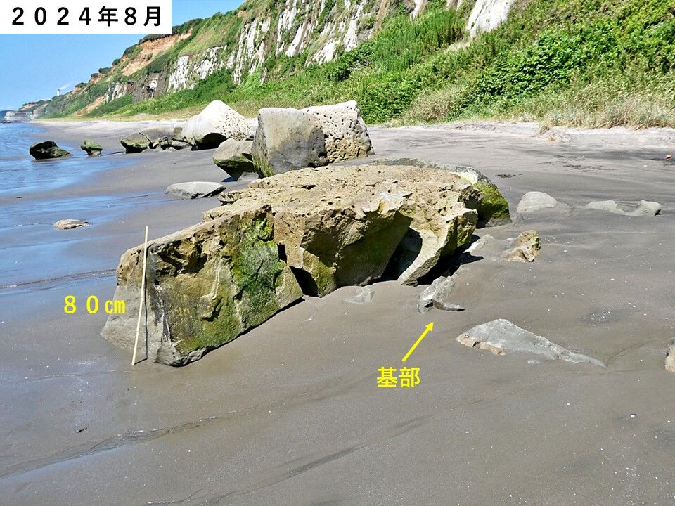 銚子ジオ散歩(579)転石の「寿命」 : CHOUSI GEOSANPO