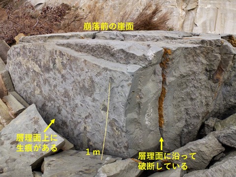 銚子ジオ散歩(210)生痕のオブジェ③【上】 : CHOUSI GEOSANPO