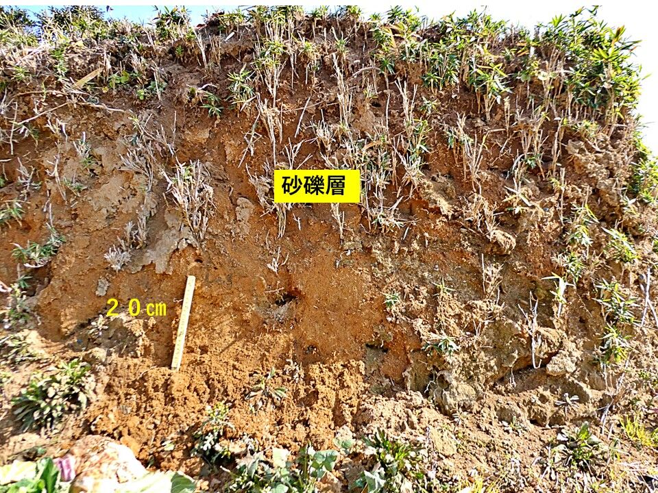 銚子ジオ散歩(480)高田川付近の「残丘」① : CHOUSI GEOSANPO