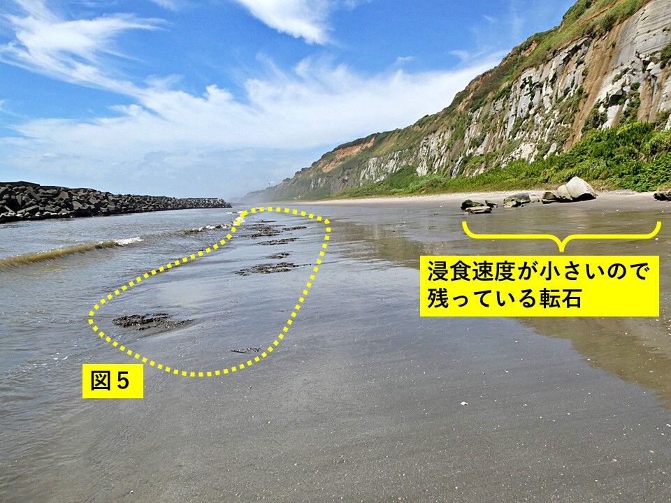 銚子ジオ散歩(447)渚の転石 : CHOUSI GEOSANPO