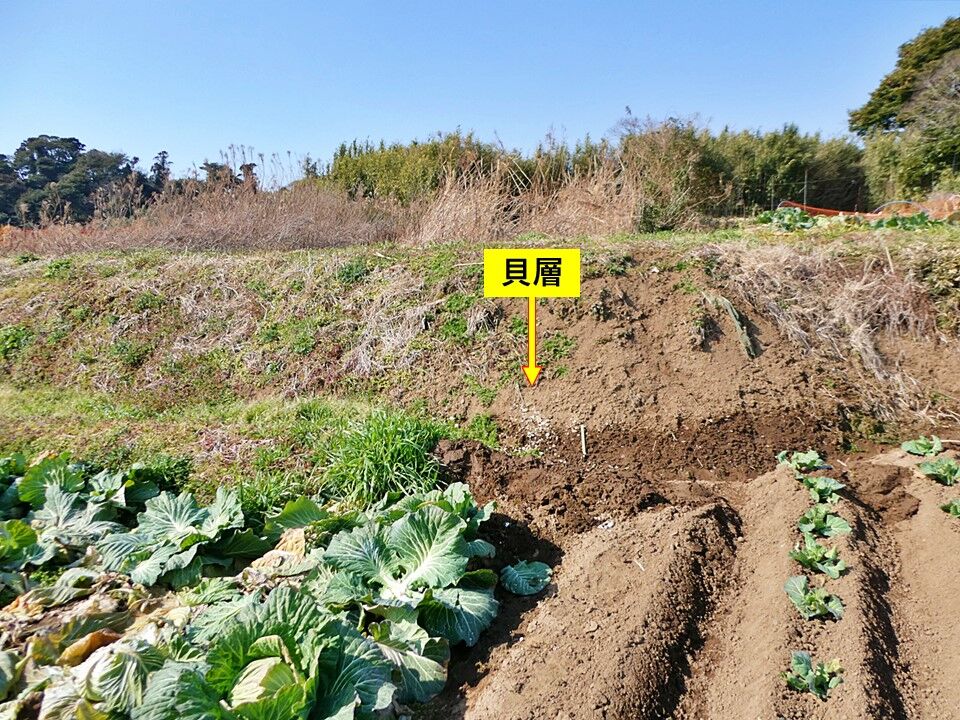 銚子ジオ散歩(481)高田川付近の残丘②遺跡 : CHOUSI GEOSANPO