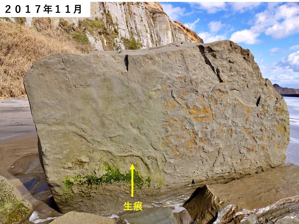 銚子ジオ散歩(579)転石の「寿命」 : CHOUSI GEOSANPO