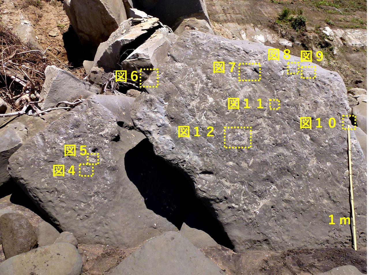 銚子ジオ散歩(211)転石の造形①【下】 : CHOUSI GEOSANPO