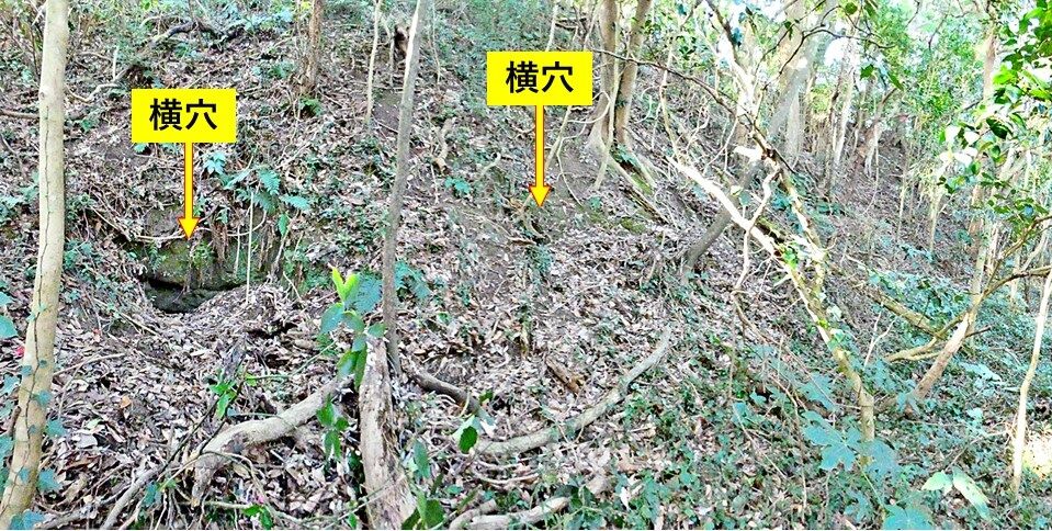 銚子ジオ散歩(481)高田川付近の残丘②遺跡 : CHOUSI GEOSANPO