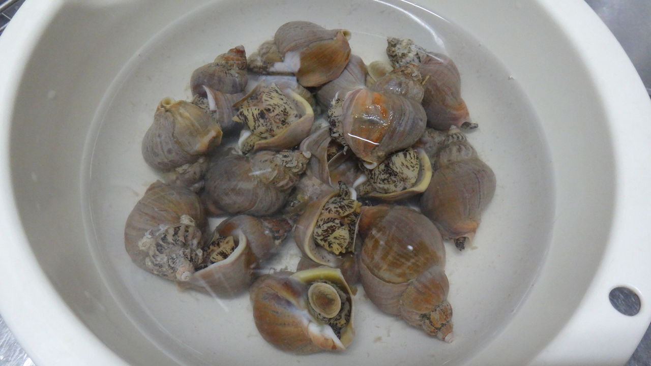 新鮮な磯つぶ貝を食す Geosunのblog 新鮮な磯つぶ貝を食す Geosunのblog
