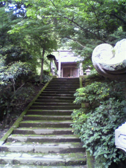 p1009286