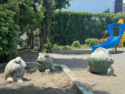 東京都中野区南台　前原公園のカエル
