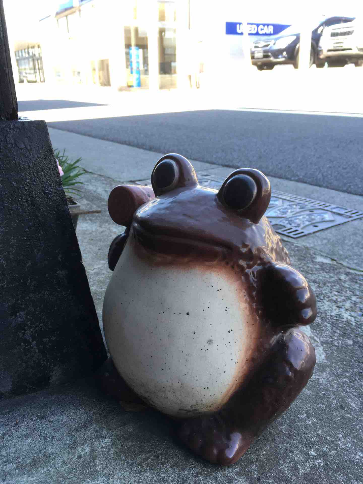 神奈川県小田原市寿町 そば処おかめのカエル カエル好きの大磯生活