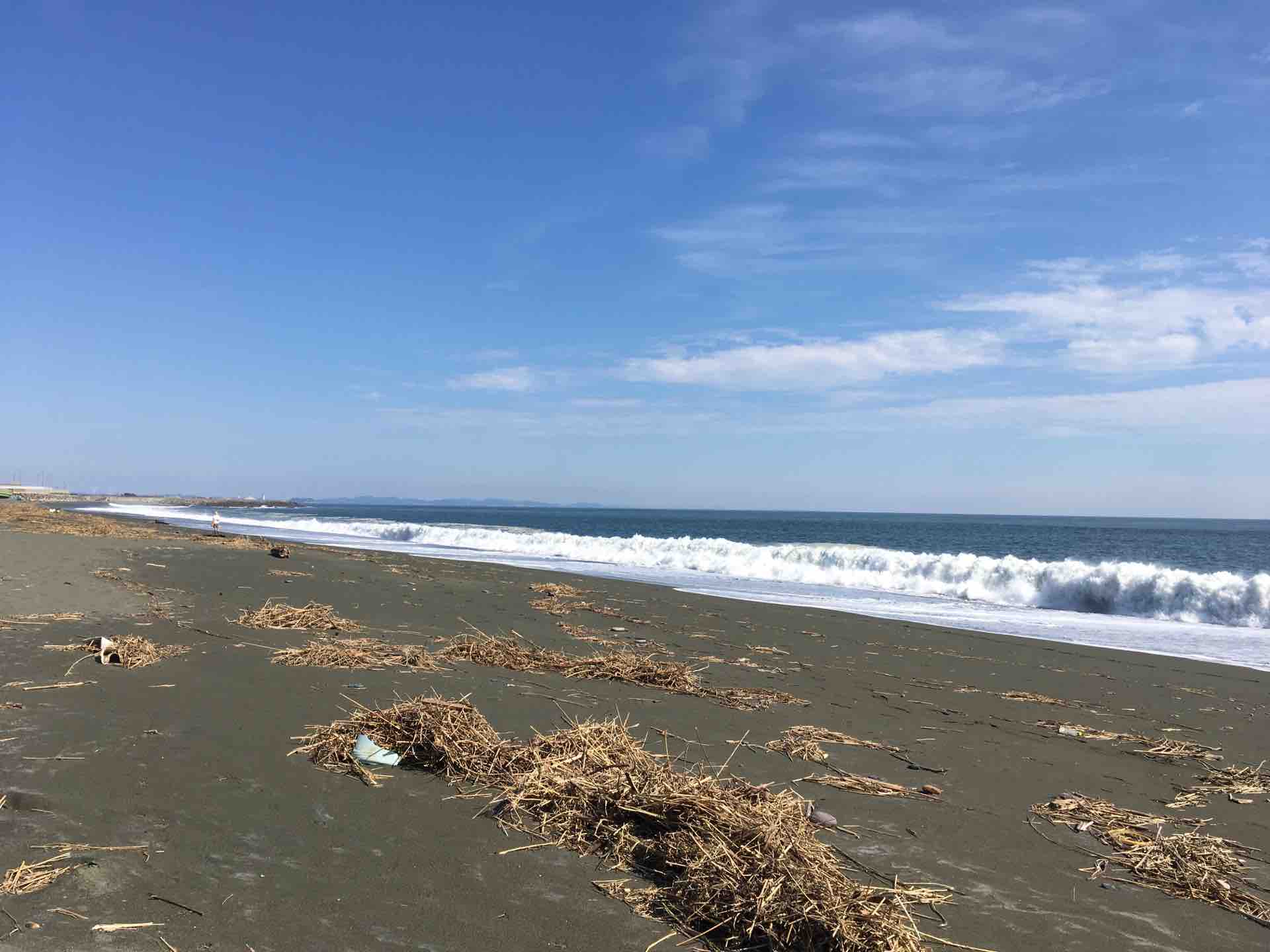 大磯町 こゆるぎの浜 カエル好きの大磯生活