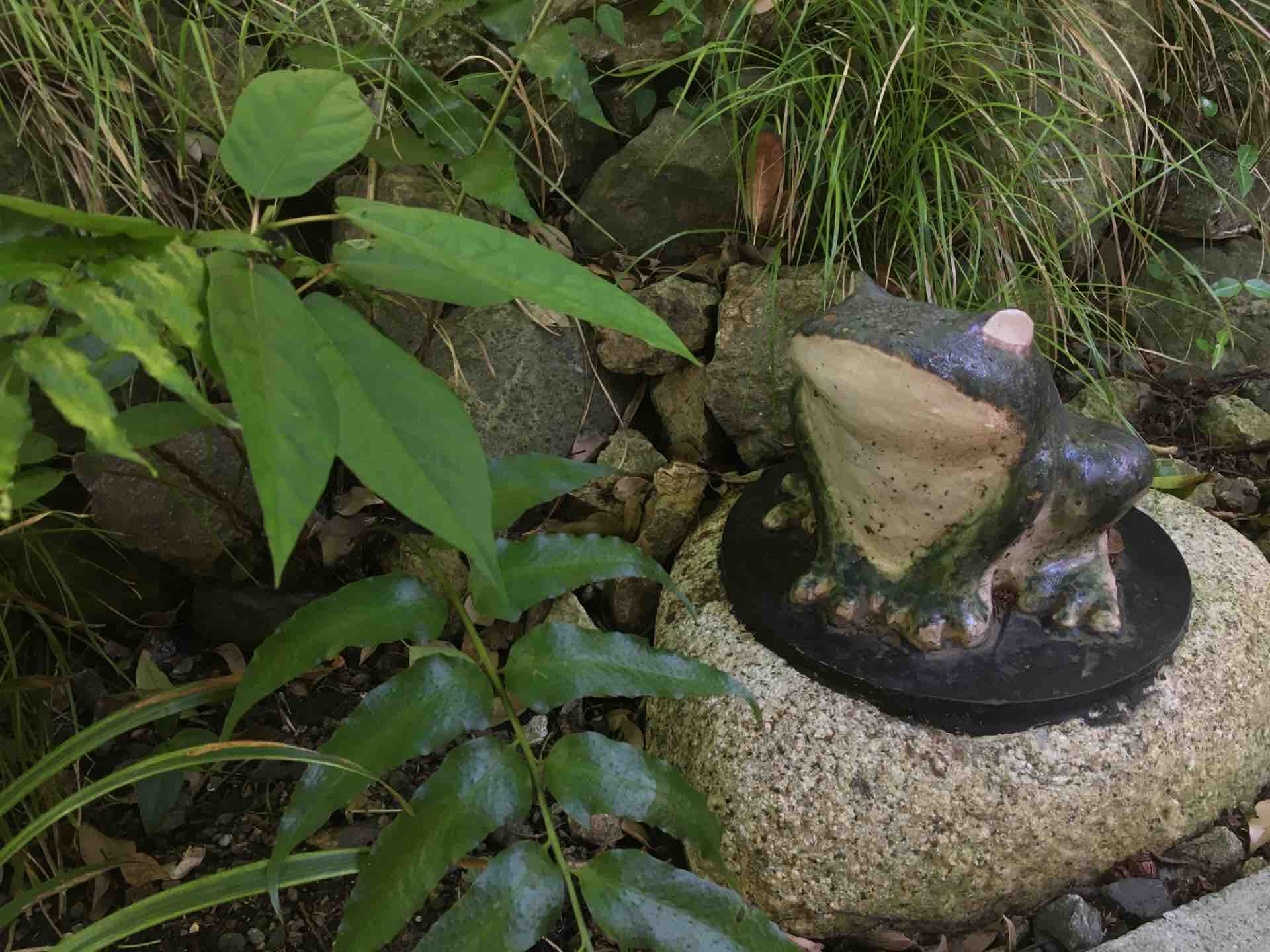 大磯町 高来神社 手水舎のカエル カエル好きの大磯生活