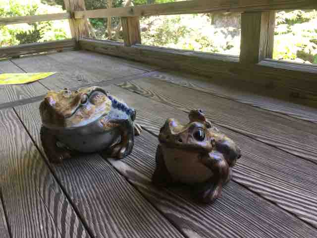 カエルの池様 カエルの池を見下ろします - 2015年のベクターアート素材や画像を多数