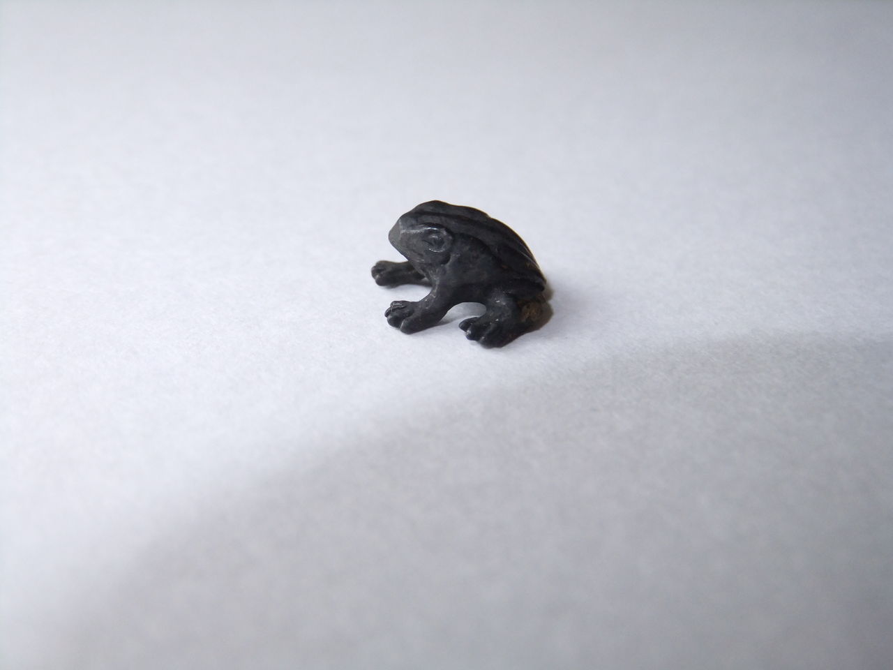 小さな小さな黒カエル カエル好きの大磯生活