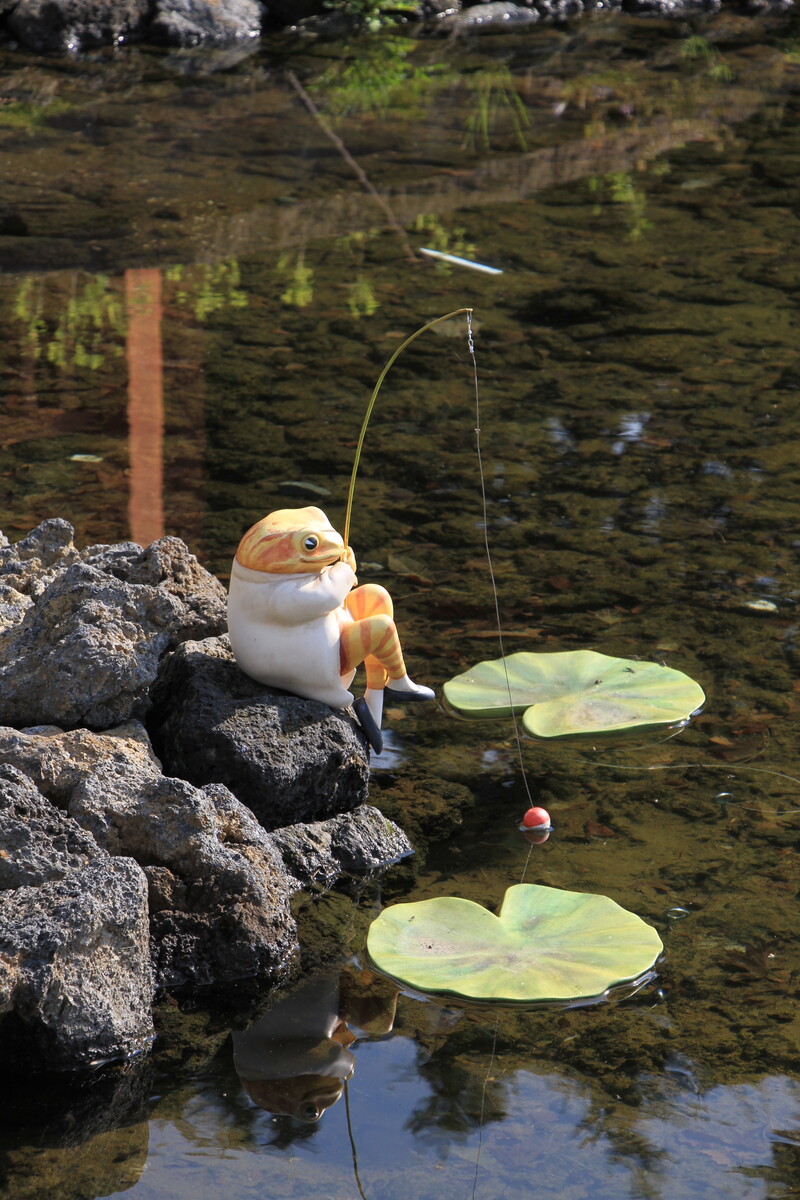 山梨県 富士芝桜まつり ﾋﾟｰﾀｰﾗﾋﾞｯﾄ ｲﾝｸﾞﾘｯｼｭｶﾞｰﾃﾞﾝのｶｴﾙ カエル好きの大磯生活