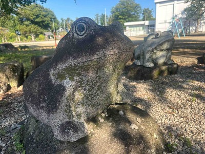 岐阜県各務原市那加新加納町　ひょうたん池のカエルたち